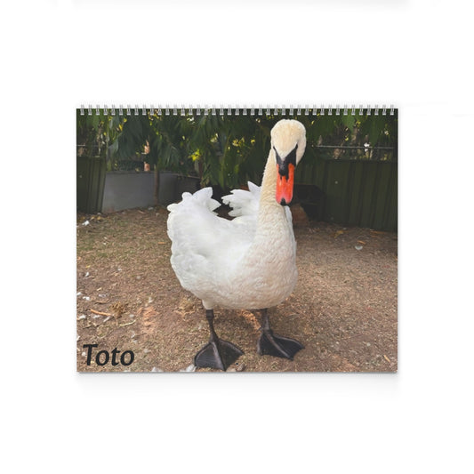 Totó-s kallendárium