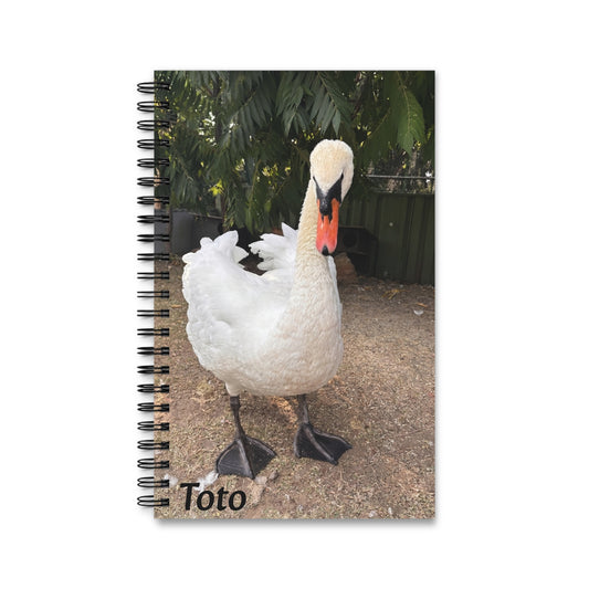 Totó-s notesz